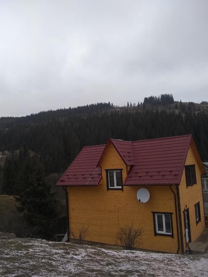 Хатина В Горах Apartment Yablunytsya Luaran gambar