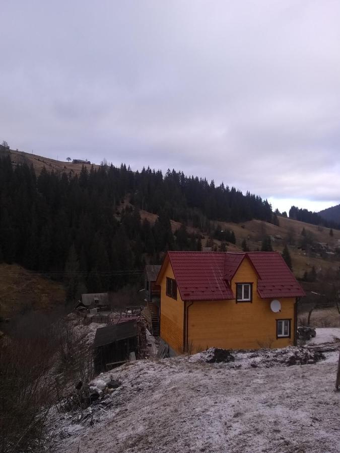 Хатина В Горах Apartment Yablunytsya Luaran gambar